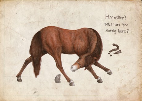 hamster and horse